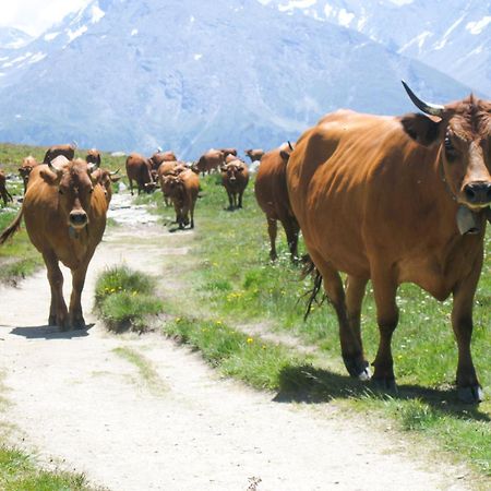 Aux Portes Du Parc National De La Vanoise Appartement Termignon Val Cenis Avec Wifi Dış mekan fotoğraf