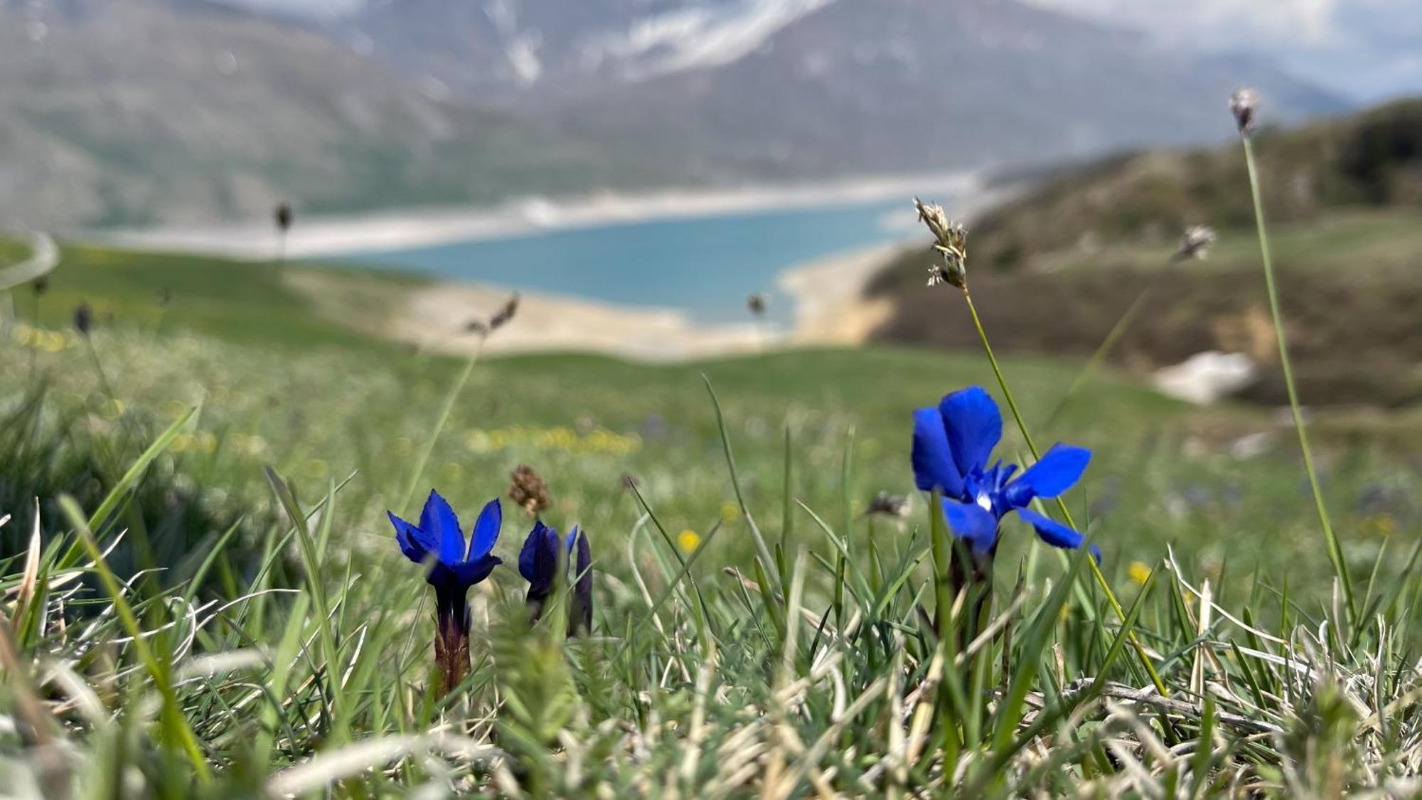 Aux Portes Du Parc National De La Vanoise Appartement Termignon Val Cenis Avec Wifi Dış mekan fotoğraf