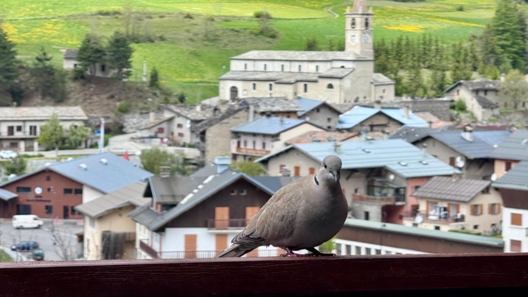 Aux Portes Du Parc National De La Vanoise Appartement Termignon Val Cenis Avec Wifi Dış mekan fotoğraf